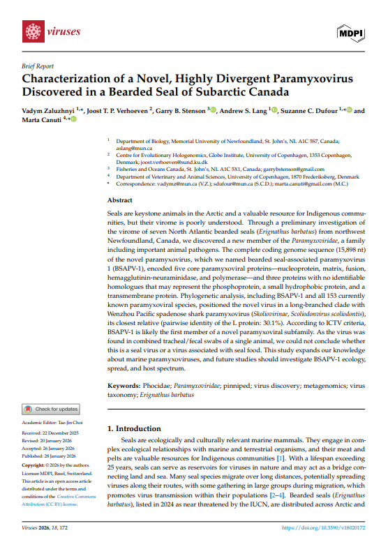 First page of: Characterization of a Novel, Highly Divergent Paramyxovirus Discovered in a Bearded Seal of Subarctic Canada