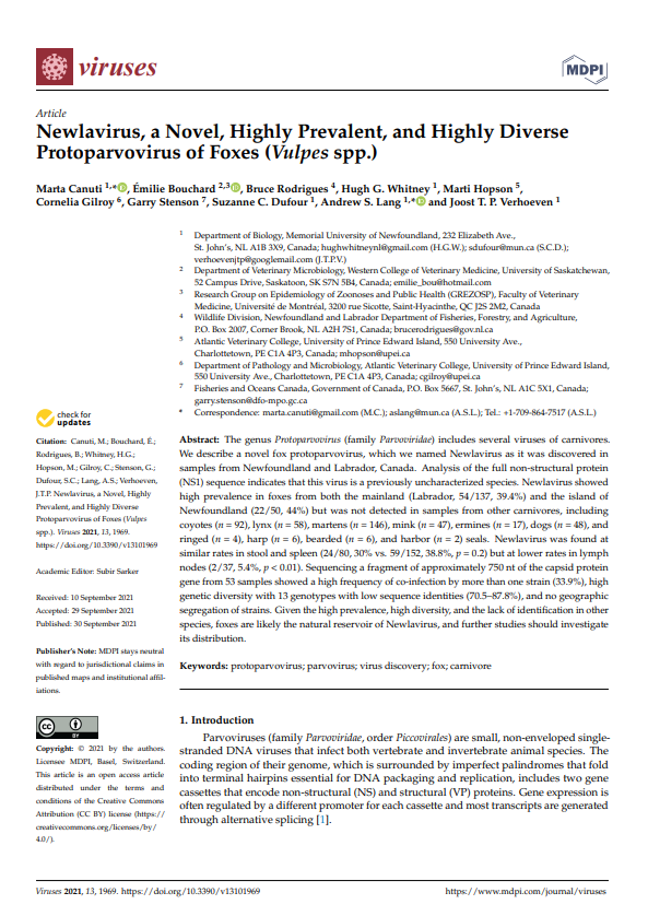 First page of: Newlavirus, a Novel, Highly Prevalent, and Highly Diverse Protoparvovirus of Foxes (Vulpes spp.)