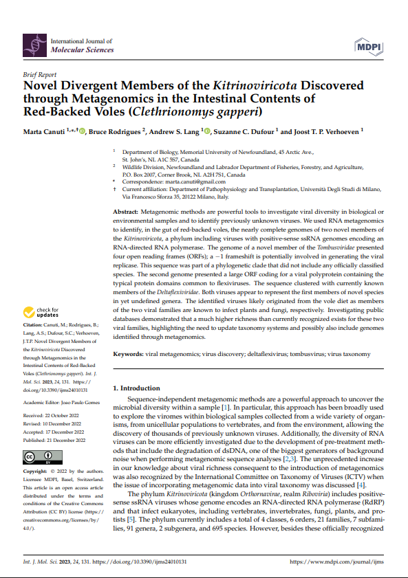 First page of: Novel Divergent Members of the Kitrinoviricota Discovered through Metagenomics in the Intestinal Contents of Red-Backed Voles (Clethrionomys gapperi)
