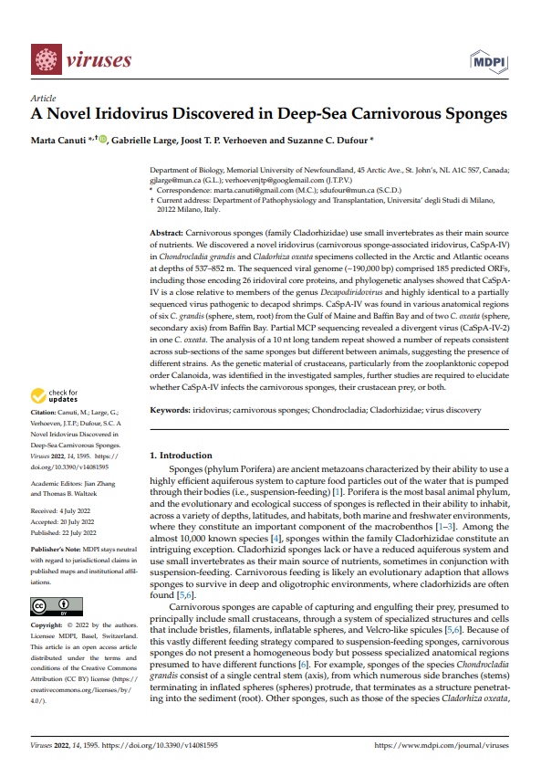 First page of: A Novel Iridovirus Discovered in Deep-Sea Carnivorous Sponges